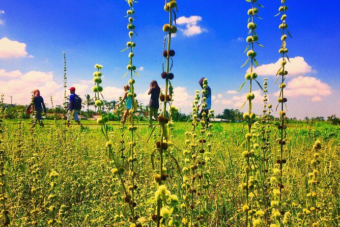 Trekking and Sightseeing tour with lunch - Frequently Asked Questions