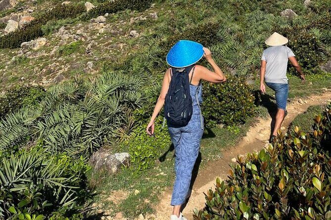 Trekking and Snorkeling in Nhn Lý - Exploring Quy Nhon’s Treasure Trove: What to Expect