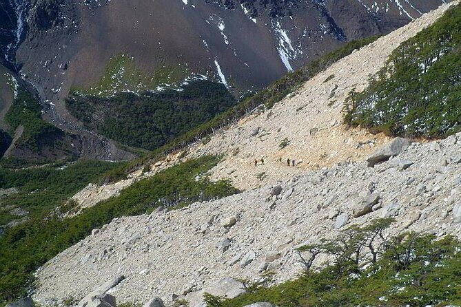 Trekking Base Torres del Paine - A Closer Look at the Trekking Base Torres del Paine