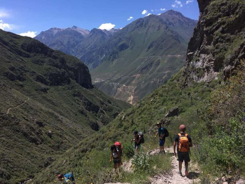 Trekking: Colca Canyon 2 days - Who Is This Tour Best For?
