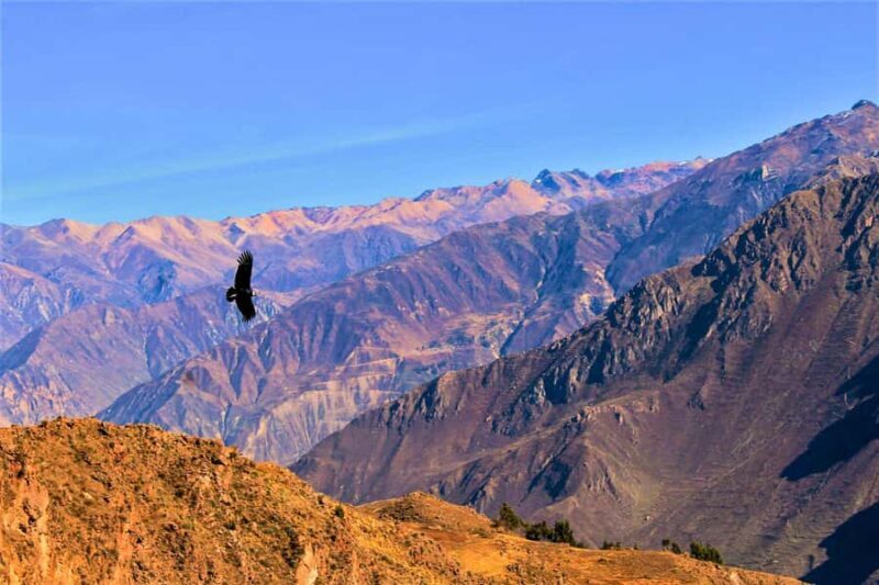 Trekking: Colca Canyon 2 days - FAQ