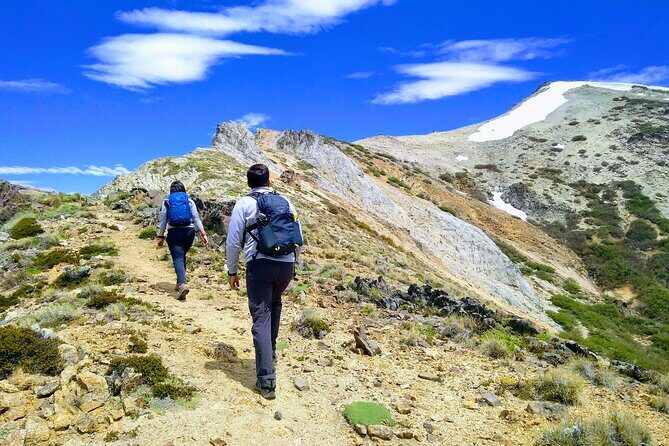 Trekking Day in Bariloche - Low/Medium/High difficulty - Why This Tour Offers Great Value