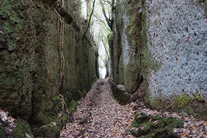 Trekking Excursion History and Nature Necropolis of Norchia from Rome - Key Points