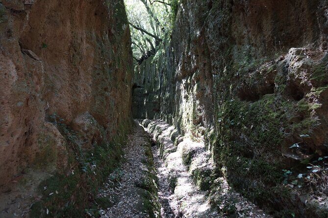 Trekking Excursion History and Nature Necropolis of Norchia from Rome - The Sum Up: Why This Tour Stands Out