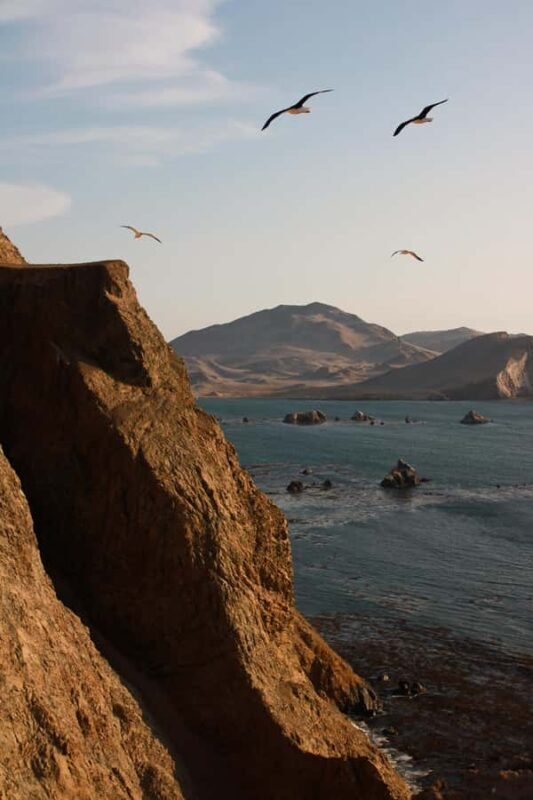 TREKKING GOLDEN SHADOWS - FAQ