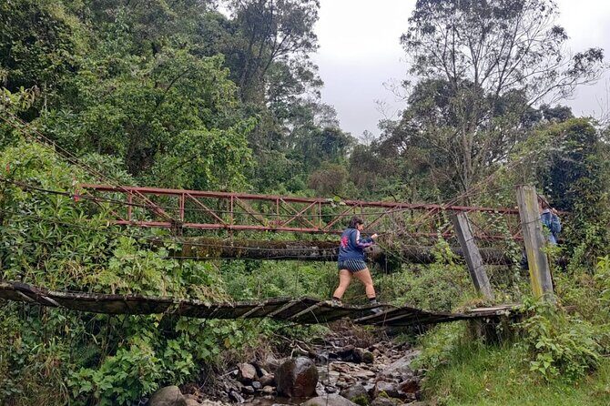 Trekking/Hiking/Acaime Cocora Valley from Pereira/Armenia - FAQs