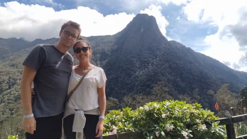 Trekking/Hiking in the Cocora Valley from Pereira or Armenia - Final Thoughts: Is This Tour Right for You?