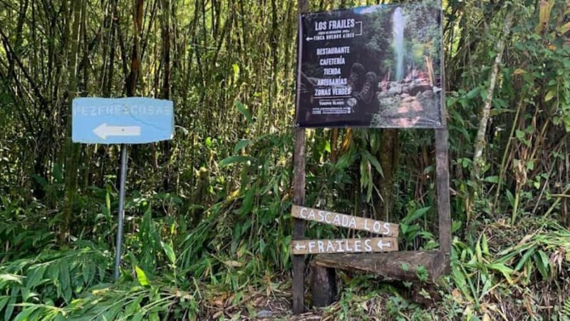 Trekking/Hiking Yarumo Blanco Waterfall from Pereira or Arme - Key Points