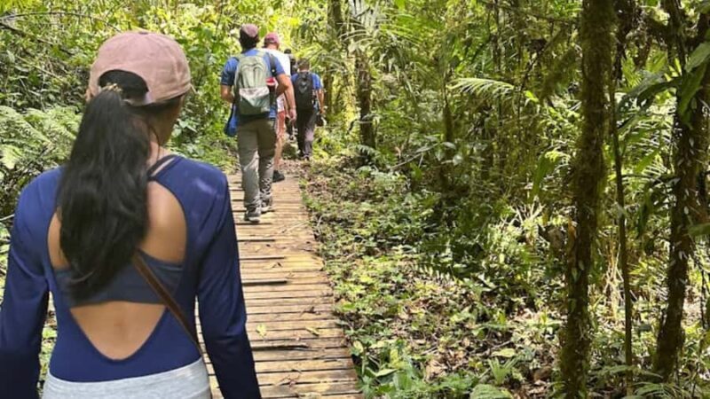 Trekking/Hiking Yarumo Blanco Waterfall from Pereira or Arme - Why Choose This Tour?