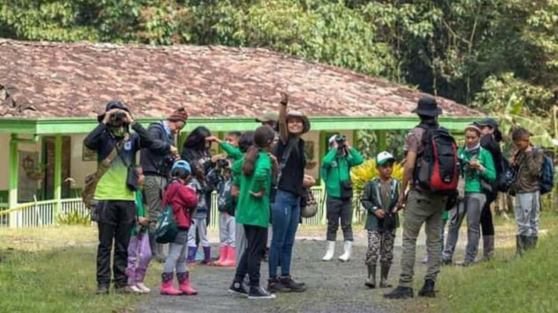 Trekking/Hiking Yarumo Blanco Waterfall from Pereira or Arme - The Sum Up