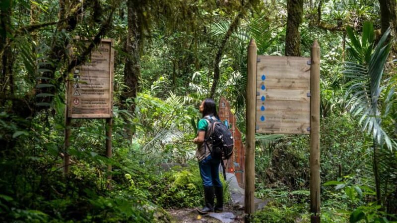 Trekking/Hiking Yarumo Blanco Waterfall from Pereira or Arme - FAQ