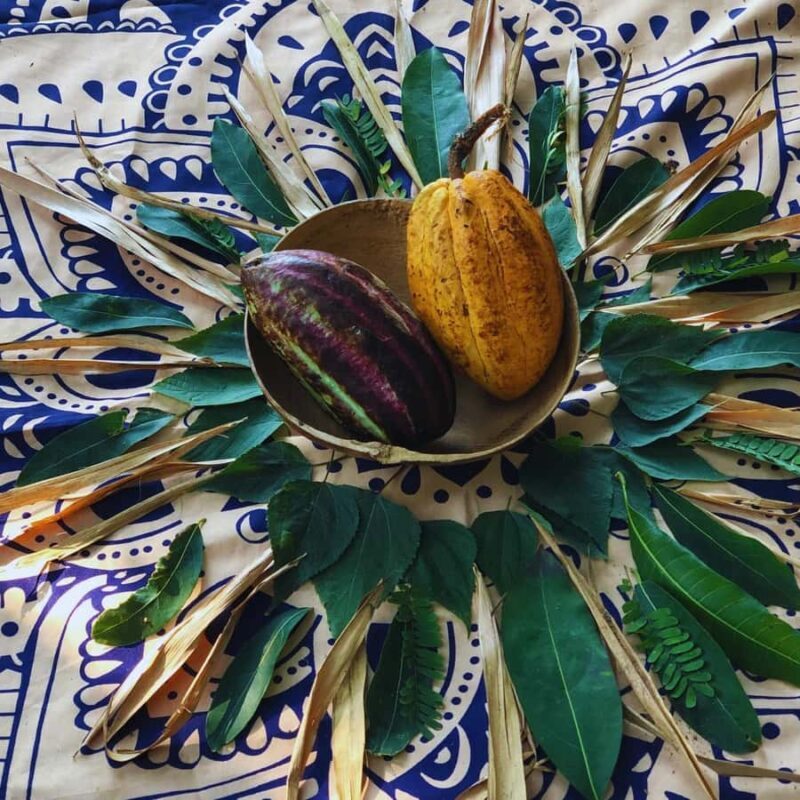 Trekking History and Indigenous Heritage in Minca + Cacao & Coffee + Waterfall - The Sum Up: Is This Tour Right for You?