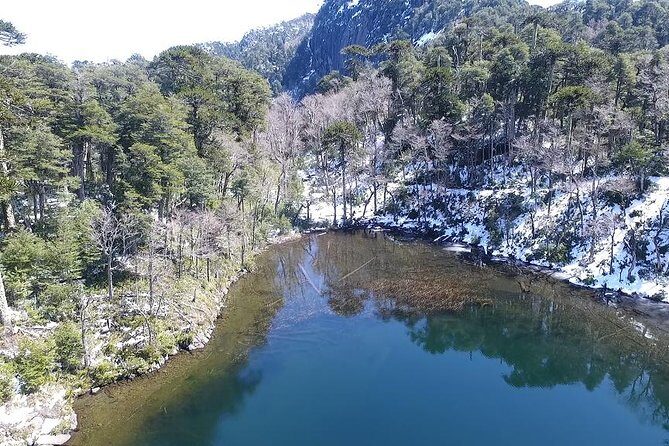 Trekking Huerquehue - Trekking Huerquehue: A Beautiful Day Among Chile’s Natural Wonders