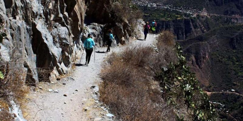 Trekking in the Colca Canyon of 2 days and 1 night - Who Will Love This Tour?