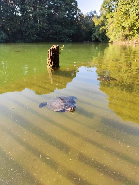 Trekking in the Wood with picnic on the turtles lake - FAQ: Your Practical Questions Answered