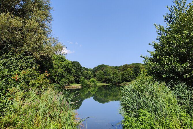 Trekking in the Wood with picnic on the turtles lake - The Sum Up: Why This Tour Stands Out
