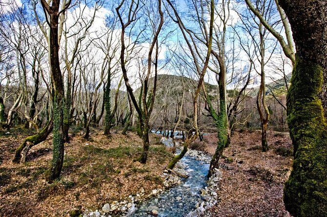 Trekking in Vikos Gorge (3 days) - Practical Details: What to Expect