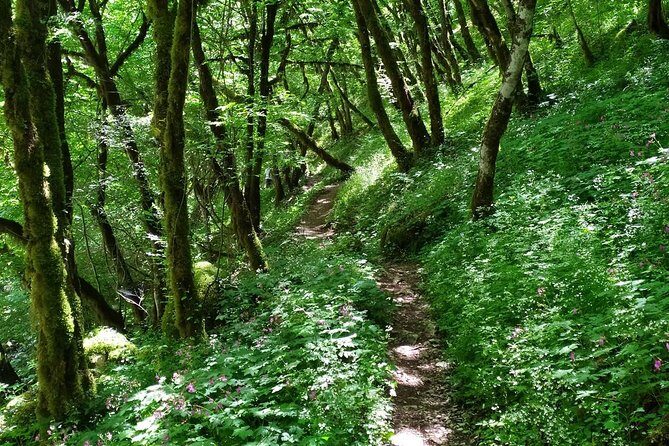 Trekking in Vikos Gorge (3 days) - FAQ