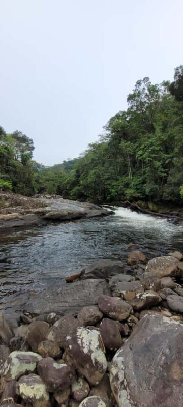 Trekking MATA ATLÂNCIA WITH CACHOEIRAS - THE GOLDEN WAY - Trekking MATA ATLÂNCIA WITH CACHOEIRAS - THE GOLDEN WAY