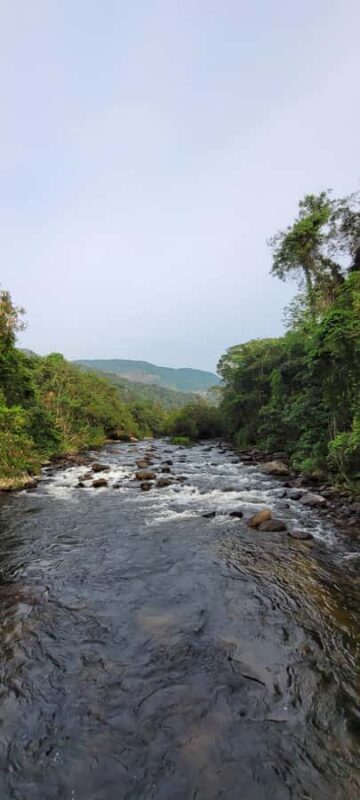 Trekking MATA ATLÂNCIA WITH CACHOEIRAS - THE GOLDEN WAY - Value and Who It’s Best For
