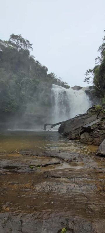 Trekking MATA ATLÂNCIA WITH CACHOEIRAS - THE GOLDEN WAY - FAQ