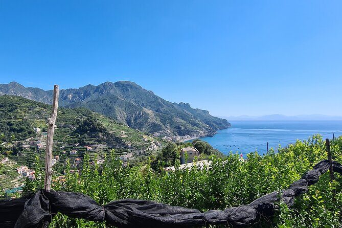 Trekking of the Amalfi Coast - 4 Days / 3 Nights - A Deep Dive into the Amalfi Coast Trekking Experience