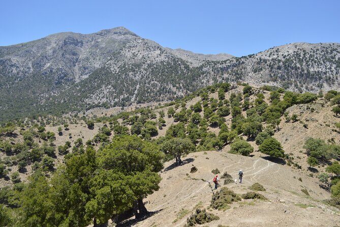 Trekking Rouvas Gorge - Trekking Rouvas Gorge: An Authentic Hike Through Crete’s Wild Side