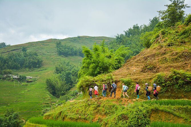 Trekking Through Rice Terraced Fields - 1Day - A Deep Dive into the Trekking Experience