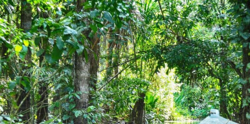 Trekking through the jungle and Lake Sandoval - Trekking through the jungle and Lake Sandoval