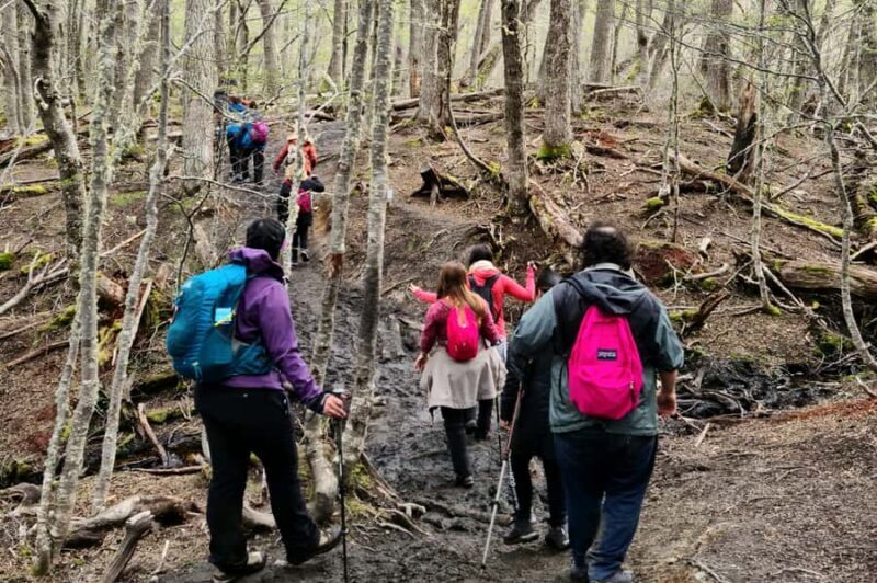 Trekking to Emerald Lagoon - Key Points