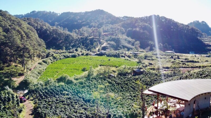 Trekking to Hidden Waterfall & Sturgeon Farm for dog-lovers - Key Points