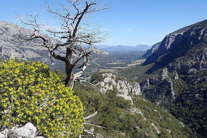 Trekking to Monte Tiscali - Oliena - FAQ