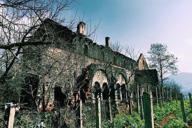 Trekking to Ta Phin, pick medicinal leaves and herbs. - A Detailed Look at the Trekking Experience