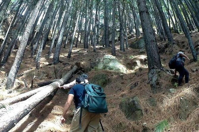 Trekking to The Highest Waterfall in Sri Lanka from Ella - Key Points