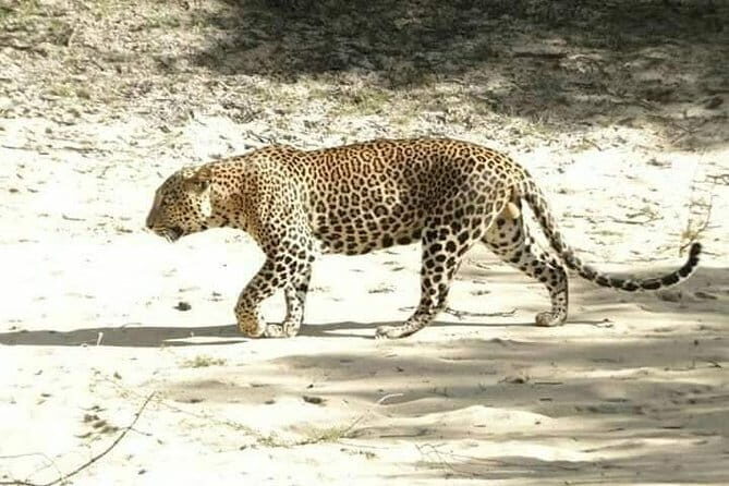 Trekking to The Highest Waterfall in Sri Lanka from Ella - Final Thoughts