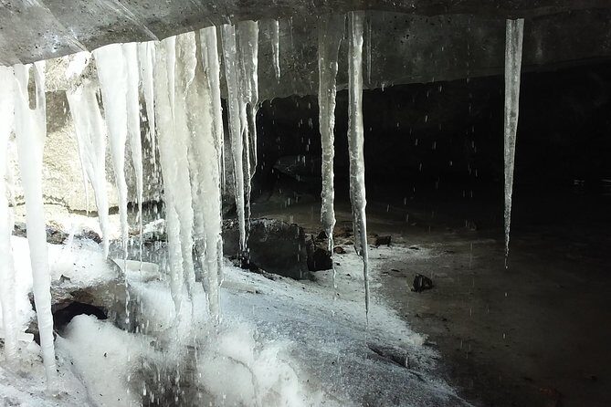 Trekking to Vinciguerra Glacier and Laguna de los Témpanos - What Travelers Say: Authentic Perspectives