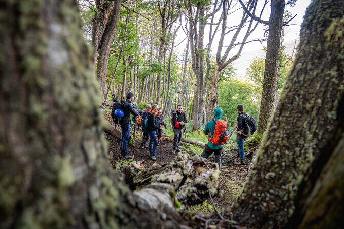 Trekking to Vinciguerra Glacier - An In-Depth Look at the Vinciguerra Glacier Trek