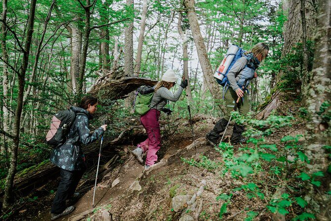 Trekking to Vinciguerra Glacier - Who Will Enjoy This Tour?