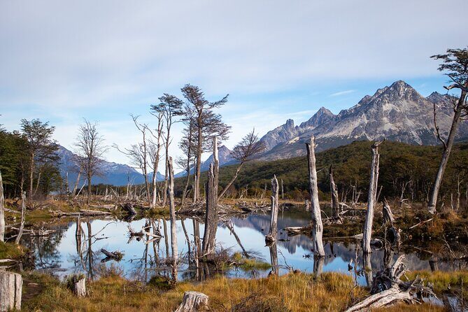 Trekking Tour Laguna Esmeralda and Fuegian Valleys - Exploring Tierra del Fuego on Foot: A Deep Dive into the Trekking Tour