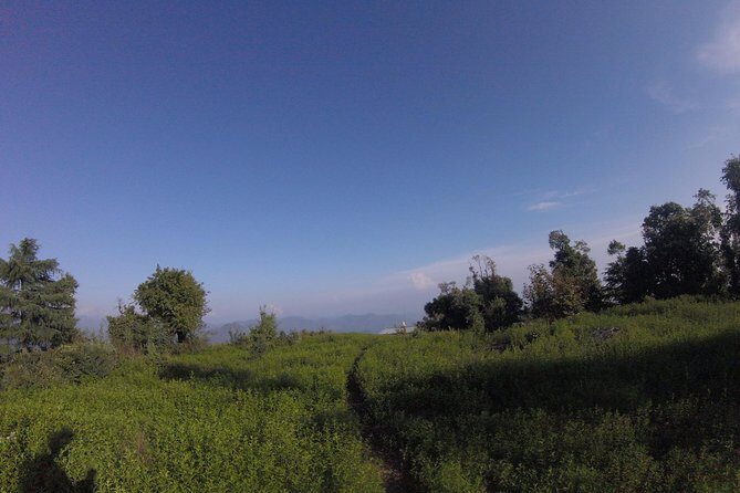 Trek's around Mussoorie - Final Thoughts