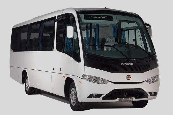 Trelew Airport Shuttle Transfer To Puerto Madryn - Key Points