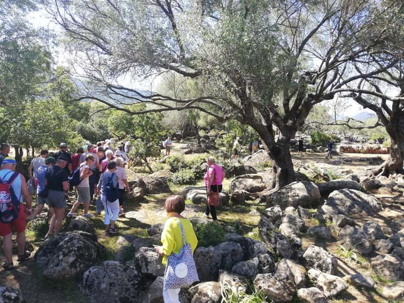 Trenino Supramonte: Guided tour of Golgo plateau - First Stop: Natural Basalt Pools and the Abyss of "Su Sterru"