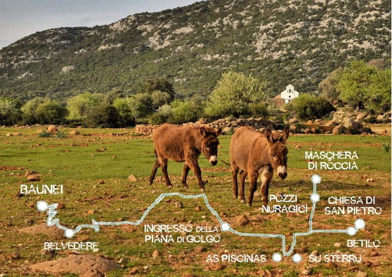 Trenino Supramonte: Guided tour of Golgo plateau - Flexibility and Booking