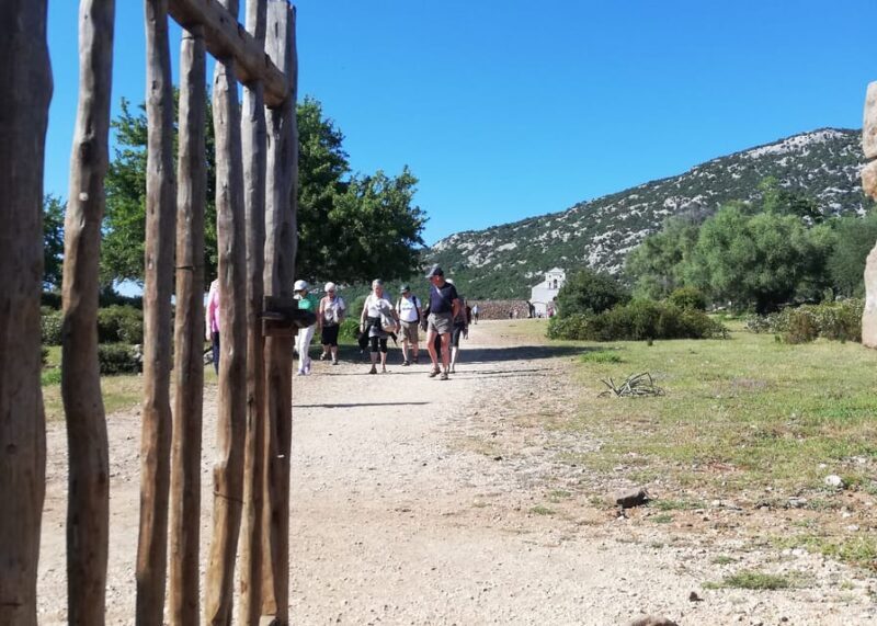 Trenino Supramonte: Guided tour of Golgo plateau - Authentic, Informed, and Fun