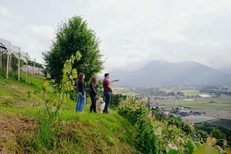 Trentino Agriconda: AgriBreak: an authentic snack surrounded by nature - An Inviting Dip Into Trentino’s Farm Life