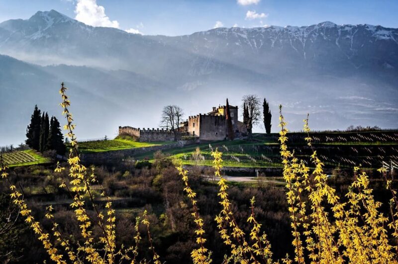 Trento: Balter Winery Guided Tour with Wine Tasting - Why the Balter Winery Tour Offers Exceptional Value