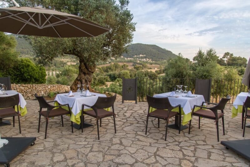 Treurer: Mediterranean barbecue Night - Why This Tour Matters: The Value for Travelers