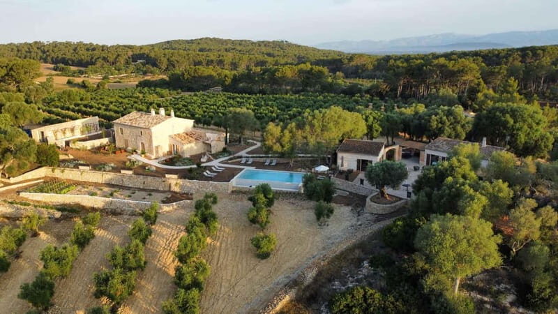 Treurer: Olive Oil Night. Gastronomic experience - An In-Depth Look at the Olive Oil Night Experience
