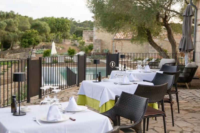 Treurer: Olive Oil Night. Gastronomic experience - Price and Value Analysis