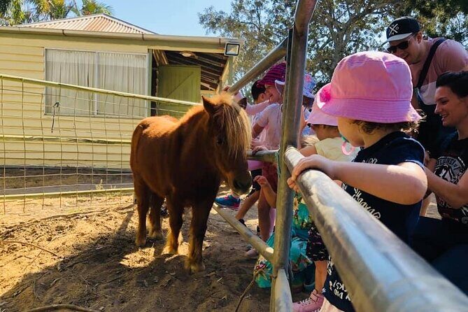 Trevena Glen 1hr Animal Tour - Final Thoughts: Why We Recommend This Tour